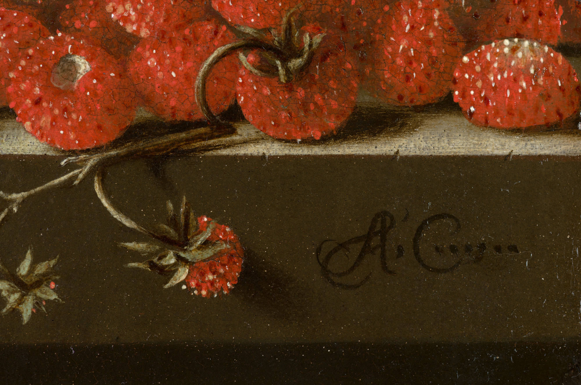 Adriaen Coorte Stilleven met bosaardbeien Still Life with Wild Strawberries